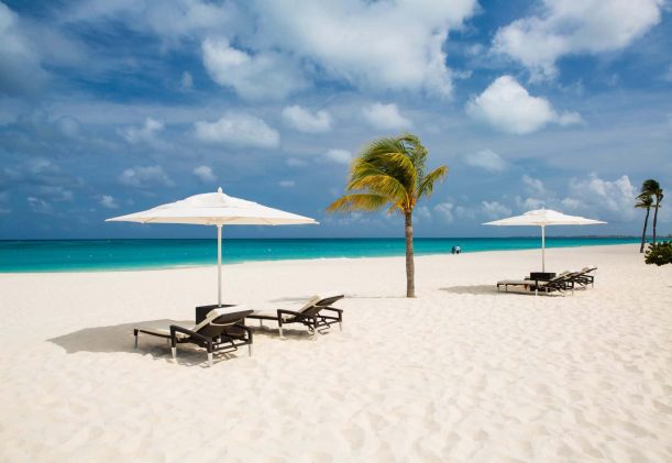 strand och palma på Aruba