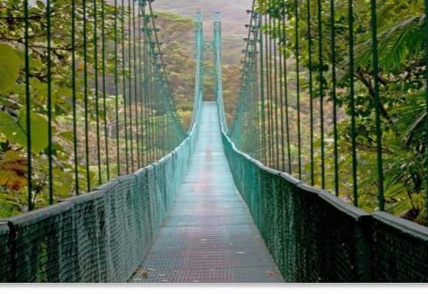 Hanging-Bridge-molnskogen-Costa-Rica