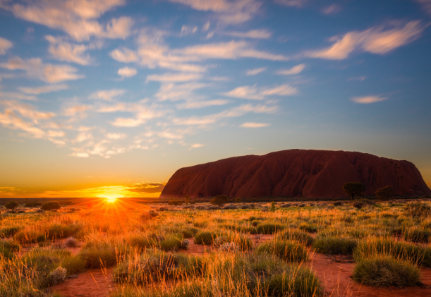 Hummingbird-Uluru-Ayers-rock-i-solnedgång