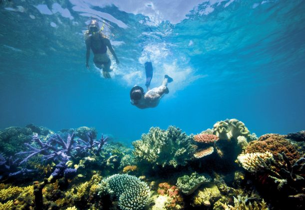 australien-great-barrier-reef-mantray-scaled