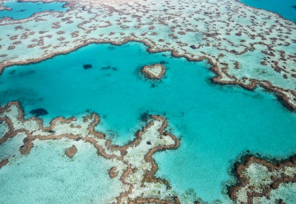 australien-reef-heart-whitsundays-revet-scaled