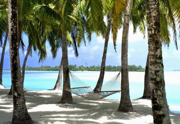cookoarna-soderhavet-hav-palmer-strand