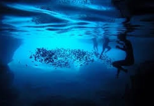 curacao-dive-guide-the-blue-room-dagstur-upplevelse