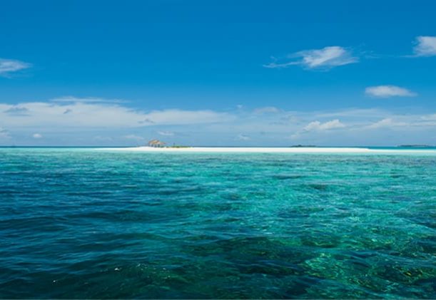 maldiverna-boutique-beach-club-hav-snorkling-dykning