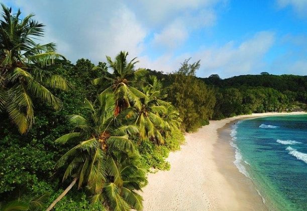 seychellerna-palmkantade-strander