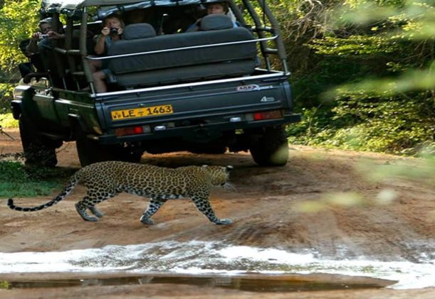 sri-lanka-jeep-safari-nationalpark